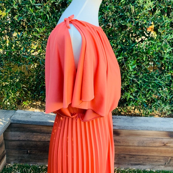 Vintage Union Made Pleated Grecian Gown - Picture 3 of 8